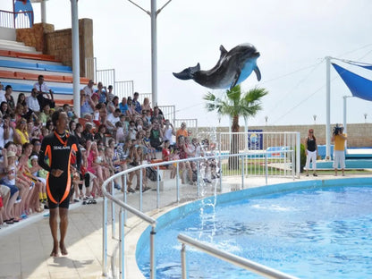 Alanya Dolphin Show: A Delight for All Ages