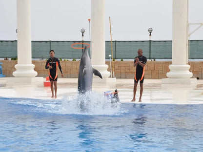 Alanya Dolphin Show: A Delight for All Ages