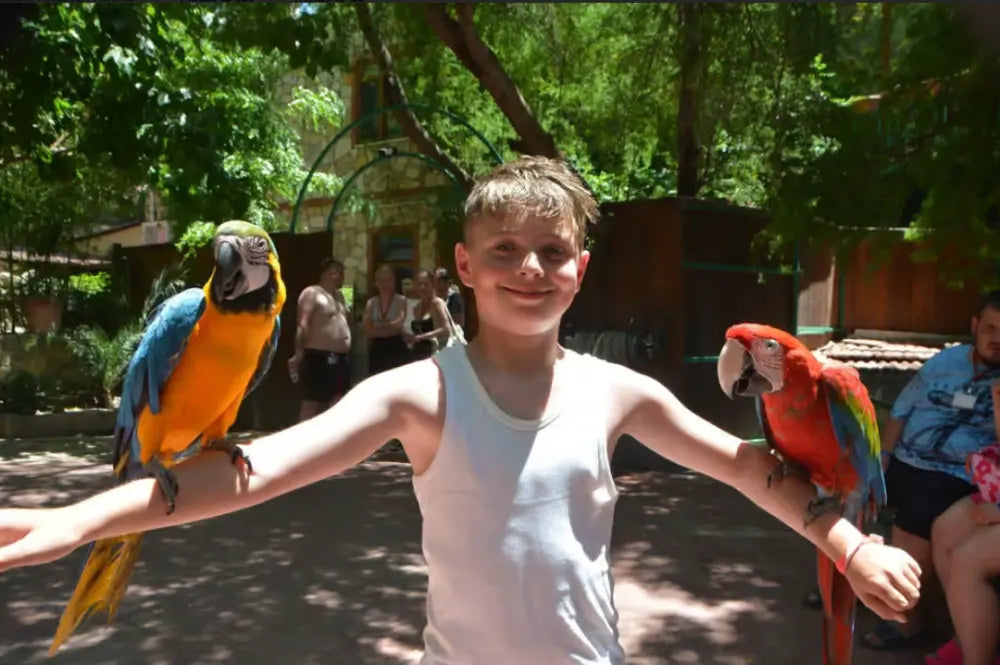 Alanya: Lion Safari & Splash Feast in Green Canyon with Lunch