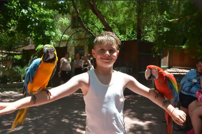 Alanya: Lion Safari & Splash Feast in Green Canyon with Lunch