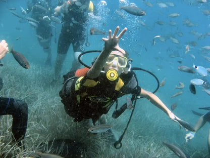 Scuba Diving Experience with Lunch & Pick up