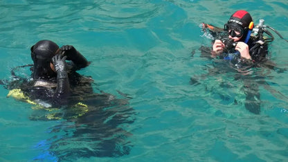 Scuba Diving Experience with Lunch & Pick up