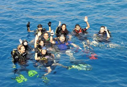 Scuba Diving Experience with Lunch & Pick up