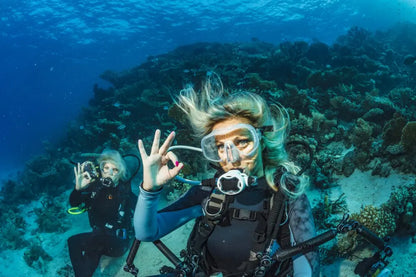 Scuba Diving Experience with Lunch & Pick up