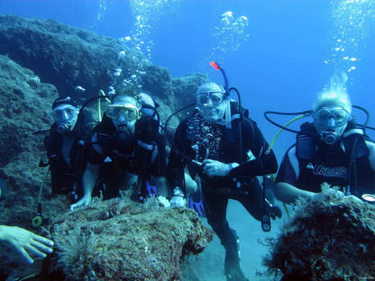 Scuba Diving Experience with Lunch & Pick up