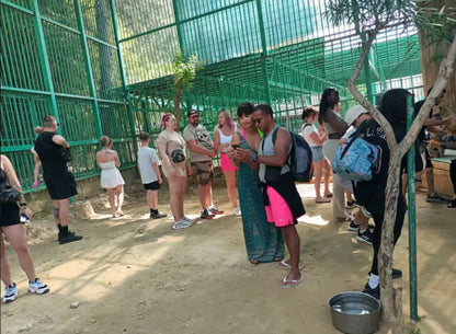 Antalya Lion Safari & Green Canyon Tour with Lunch
