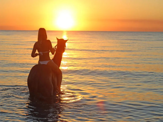 Lara Beach & Forest Horse Riding Safari