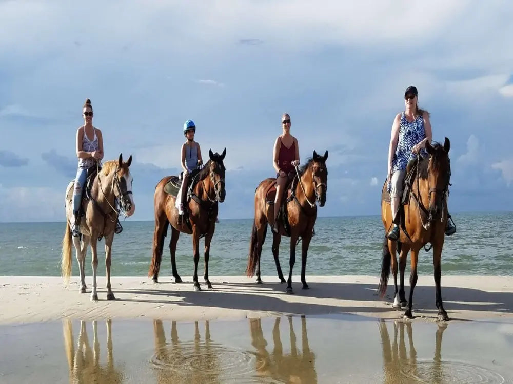 Lara Beach & Forest Horse Riding Safari