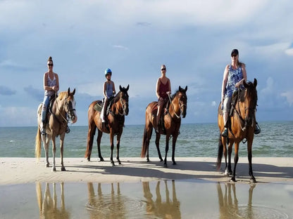 Lara Beach & Forest Horse Riding Safari