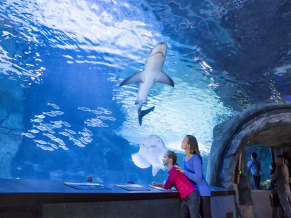 Aquarium & Face2Face Wax Museum from Antalya