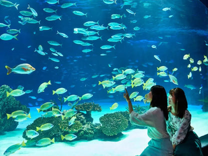 Aquarium & Face2Face Wax Museum from Antalya