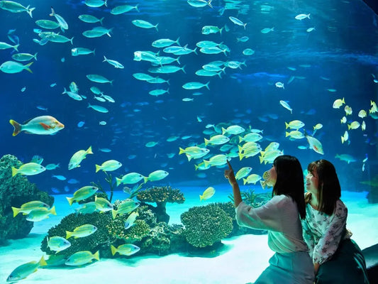 Aquarium & Face2Face Wax Museum from Antalya