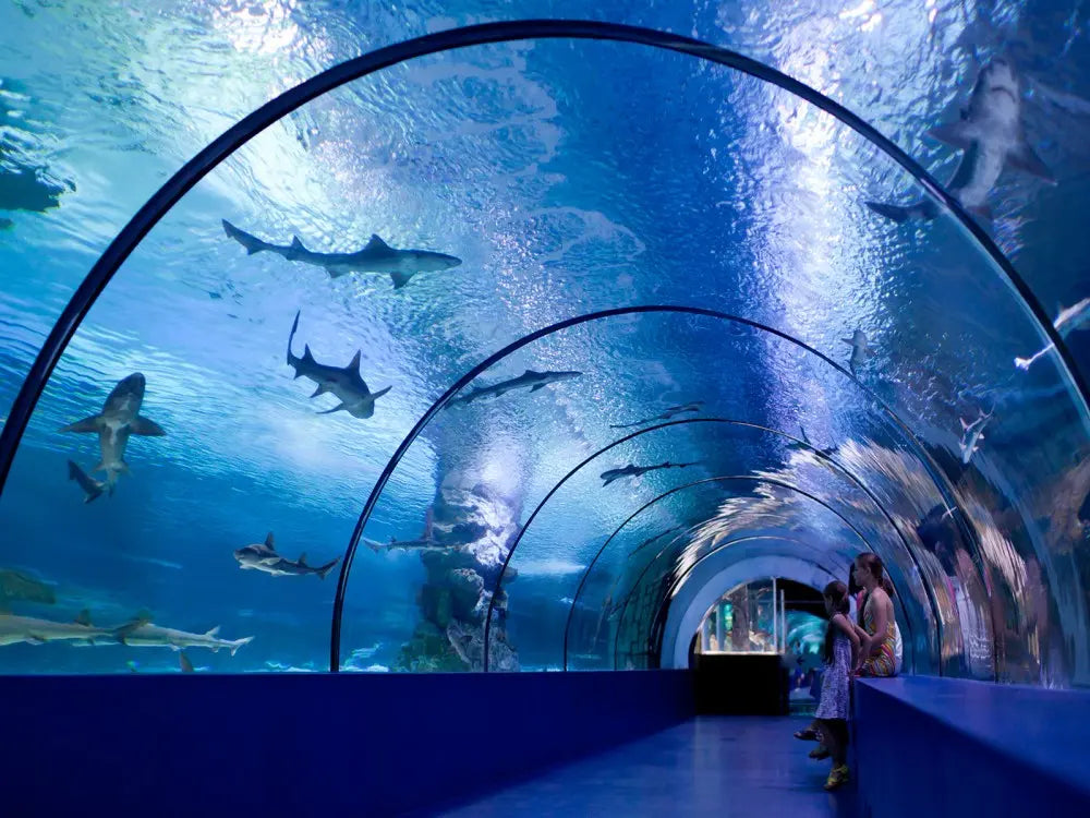Aquarium & Face2Face Wax Museum from Antalya