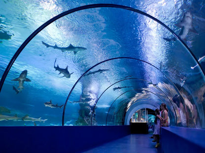 Aquarium & Face2Face Wax Museum from Antalya