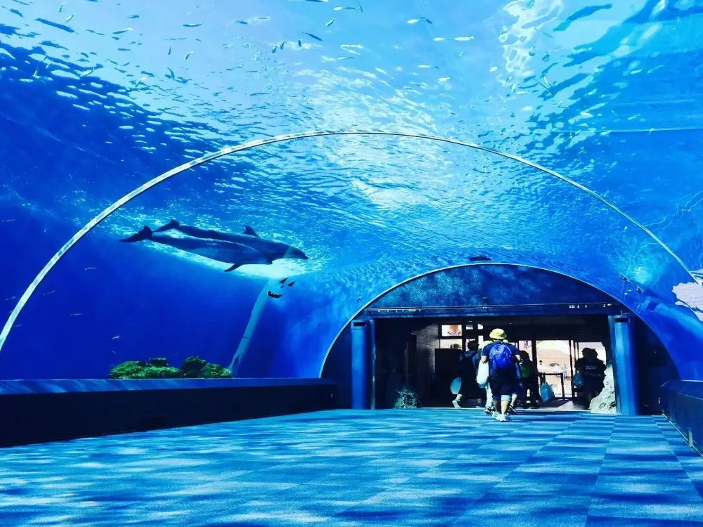 Aquarium & Face2Face Wax Museum from Antalya