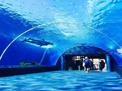 Aquarium & Face2Face Wax Museum from Antalya