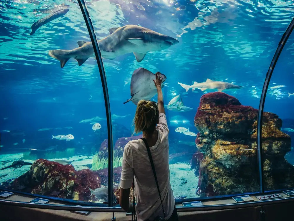 Aquarium & Face2Face Wax Museum from Antalya