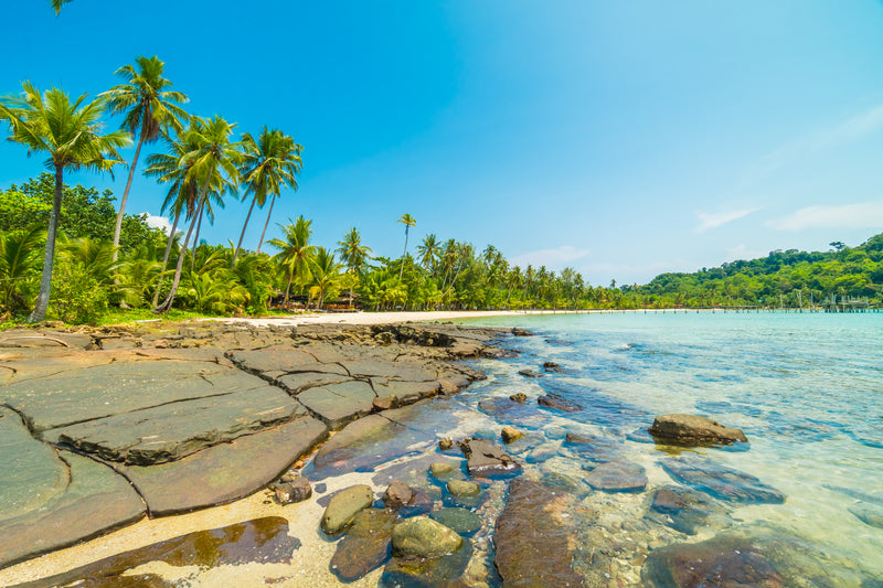 Sri Lanka Honeymoon Packages