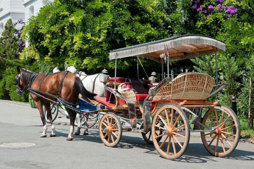 Princess Island Tour from Istanbul