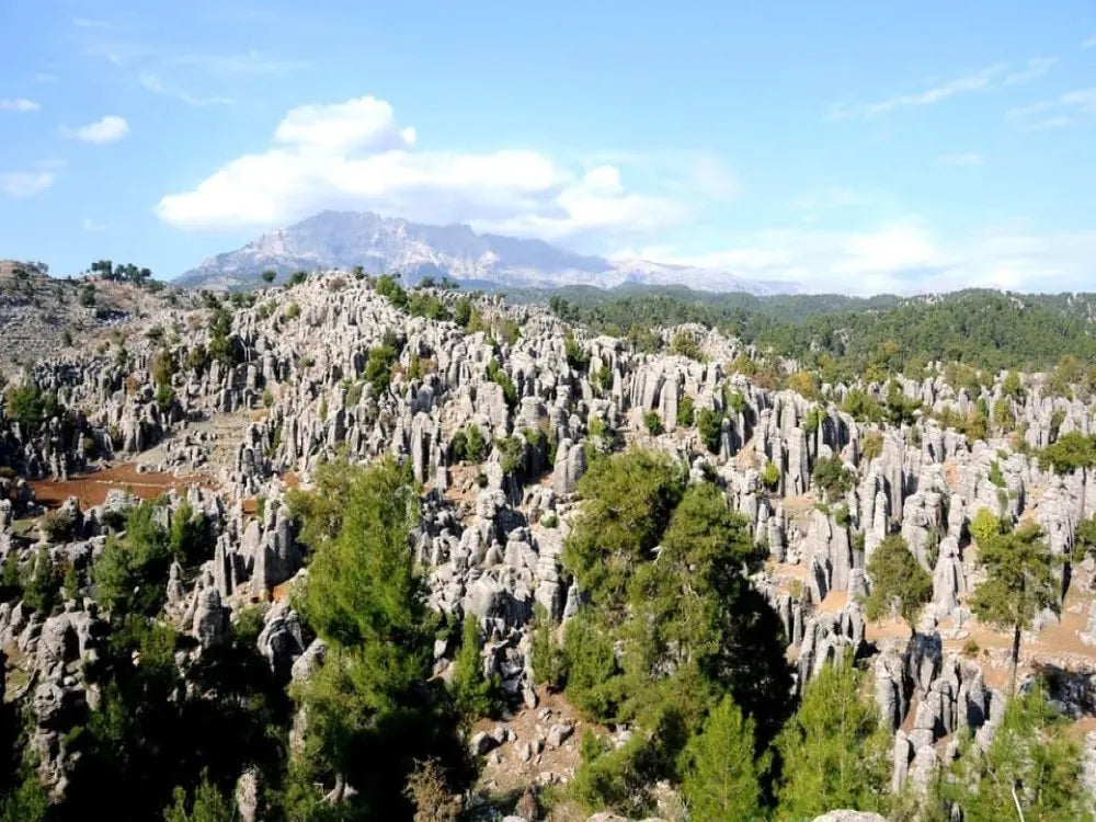Eagle Canyon and Selge Ancient City Tour