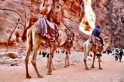 Discover Petra on a Day Trip by Ferry