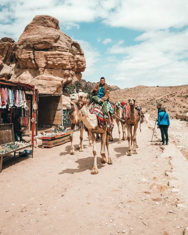 Discover Petra on a Day Trip by Ferry