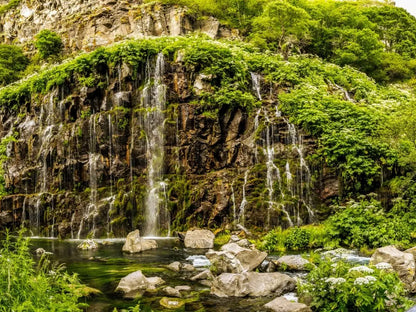 Diamond Bridge and Dashbashi Canyon Day Trip