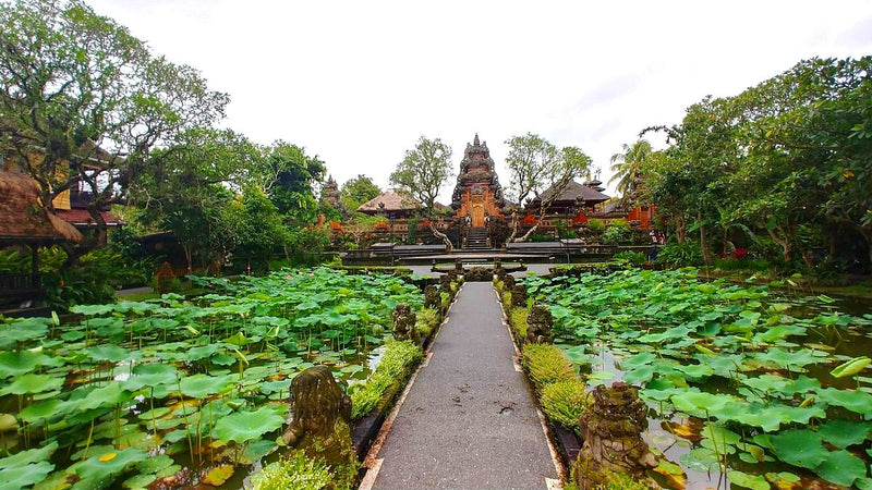Day 4: A Leisurely Day in Ubud