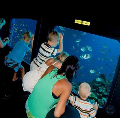 Seascope Submarine Cruise