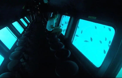 Seascope Submarine Cruise