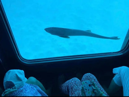 Seascope Submarine Cruise