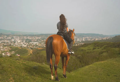 Horseback Riding Experience
