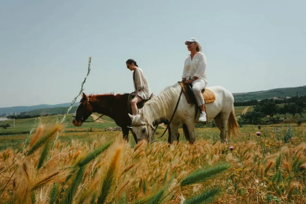 Horseback Riding Experience
