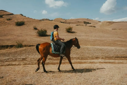 Horseback Riding Experience