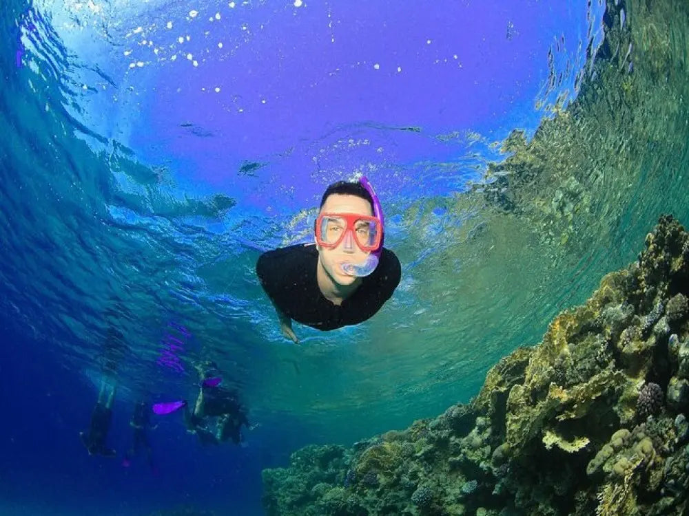 Tiran Island Snorkeling Experience by Yacht